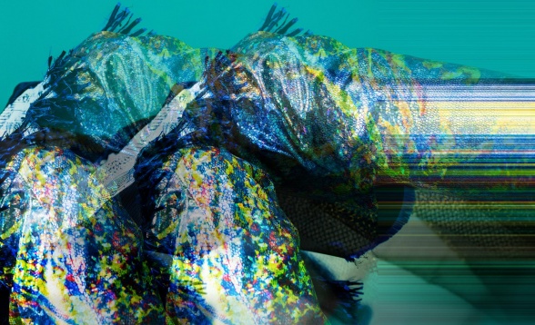 Neo Studio. A Programme for Bright Young Students and Trainees 