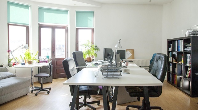 MANOLE ZECE & DECOWORKS // Design Delights