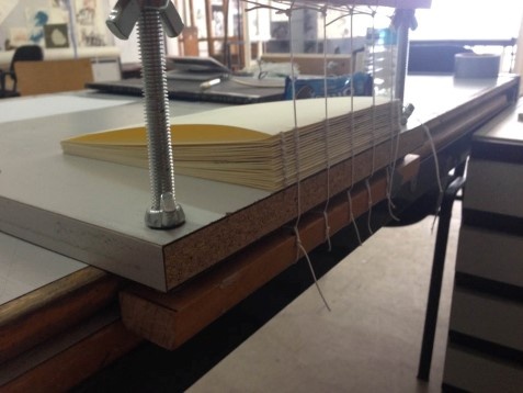 ADINA LARISA ȘUFANĂ