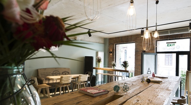 ANIMALETTO PIZZA BAR // Pizza Party Gallery