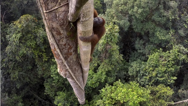 EIDOS FOUNDATION // Unfinished Bucharest Festival of Visual Arts