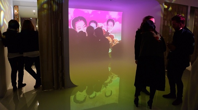  MOLECULE F // Introducing Steff Chelaru 