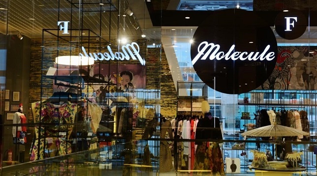 MOLECULE F // Introducing Steff Chelaru  