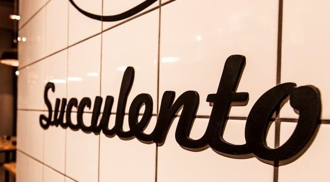 STADIO // Color me smart!