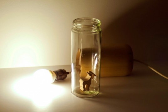 BOGDAN CIOCODEICA & DIANA ROSU