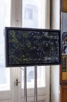 DIPLOMA SELECTED @RDW 2016