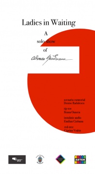 Ce poți vedea vineri, 27 mai la RDW 2016