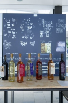 Highlights - Graphic Design&Illustration @RDW 2016