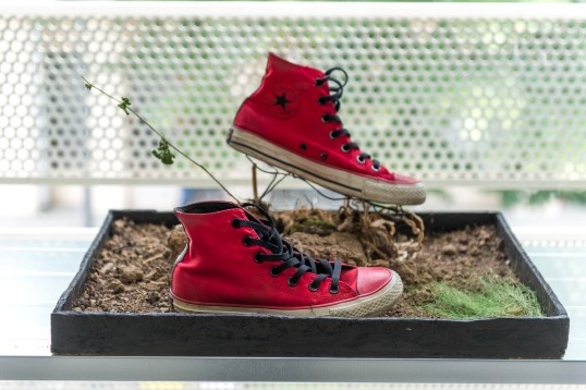 CREATIVITY LIGHTS UP YOUR SOUL @RDW2016