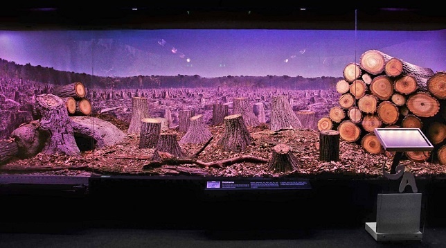 TOP 3 ADC*RO // MAI 2016