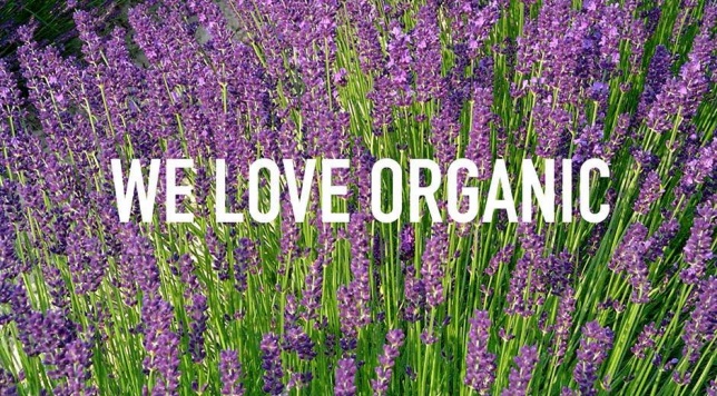 Circuit verde în jungla de beton