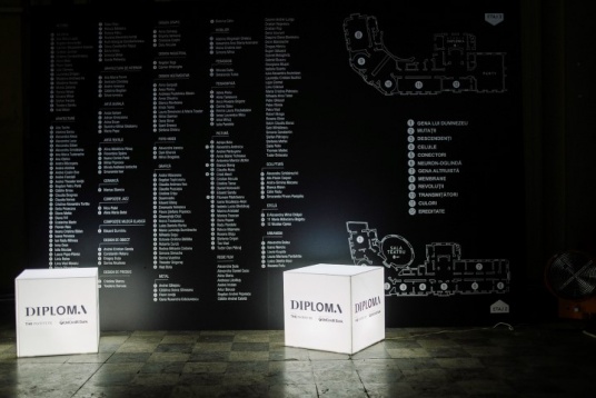 Jurnal de DIPLOMA - Focus Grup Arte Decorative