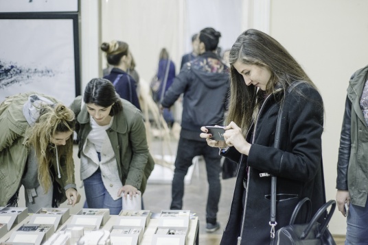 Jurnal de DIPLOMA - Focus Grup Arte Decorative