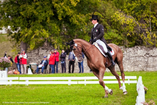 Karpatia Horse Show 2016