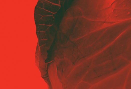 Conferințele DIPLOMA 2016