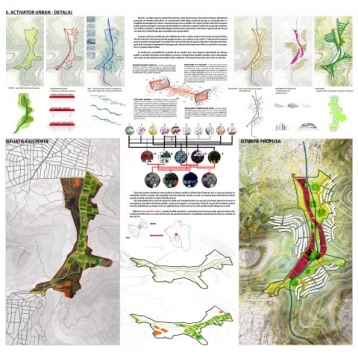 Alina Novac // Megaorașul ca ecosistem 