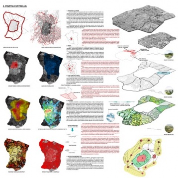 Alina Novac // Megaorașul ca ecosistem 