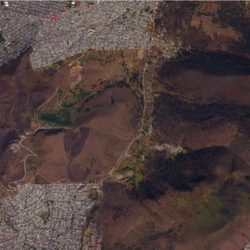 Alina Novac // Megaorașul ca ecosistem 