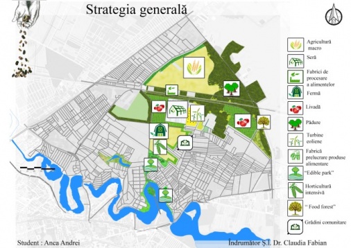 Anca Andrei // Intervenție în zona Voluntari 