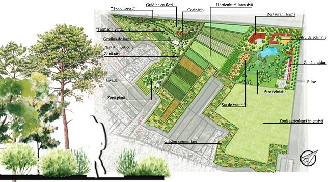 Anca Andrei // Intervenție în zona Voluntari 