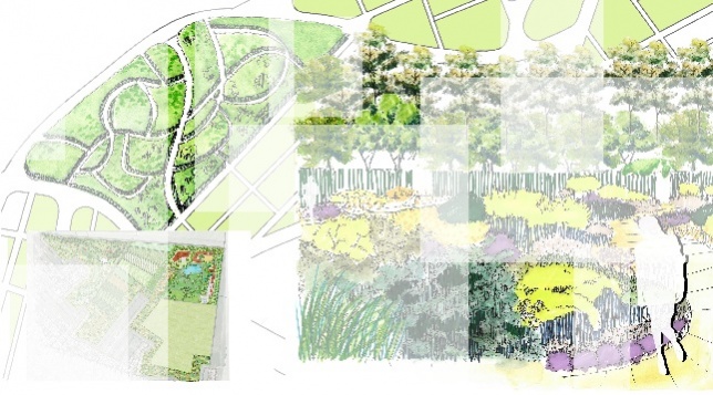 Anca Andrei // Intervenție în zona Voluntari 