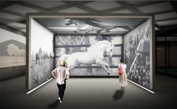 Andreea Moise // Revitalizare Marghiloman 