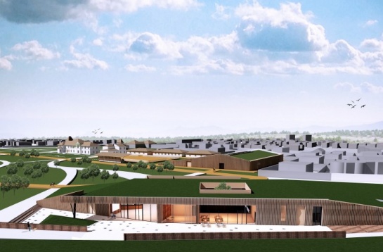 Andreea Moise // Revitalizare Marghiloman 