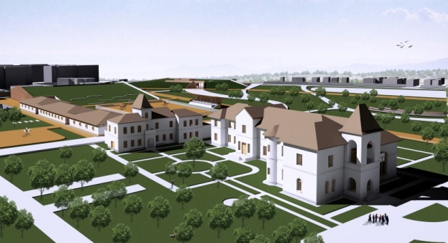 Andreea Moise // Revitalizare Marghiloman 