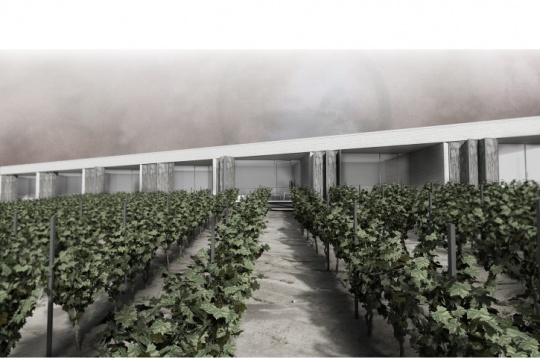 Corina Nicola // Vinărie și pensiune în Ștefănești, Argeș 