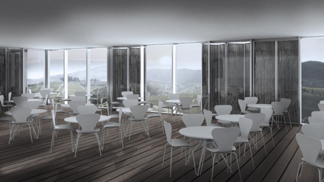 Corina Nicola // Vinărie și pensiune în Ștefănești, Argeș 