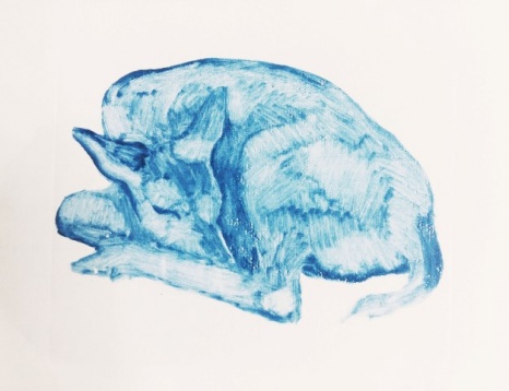 Doinița Alexandra Dragomir // Somnifer