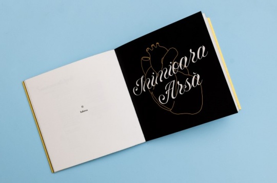 Eduard Felegeanu // Dicta Ando Manta 