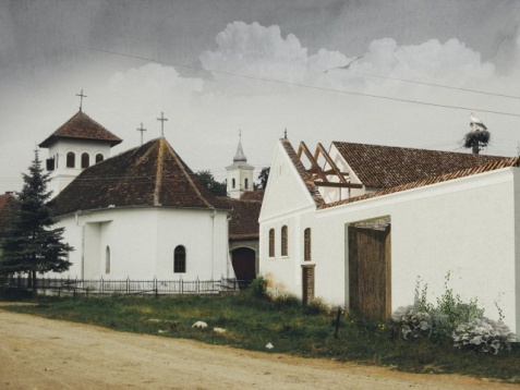 Ileana Roxana Dan // Școala de privit acasă 