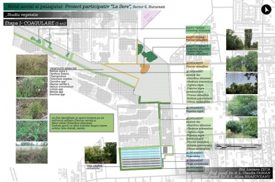 Luciana Zeca // Rolul social al peisajului - proiect participativ