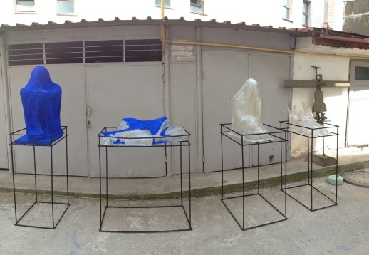 Adelina Petcan // Imagini mentale 