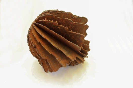 Alexandru Dascălu // Revolta 