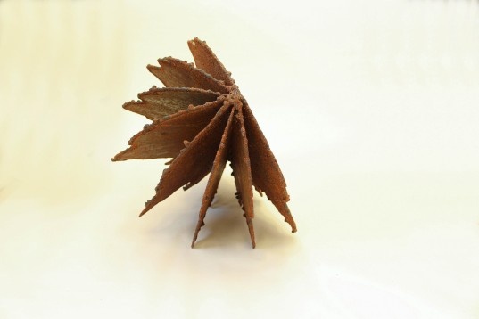 Alexandru Dascălu // Revolta 