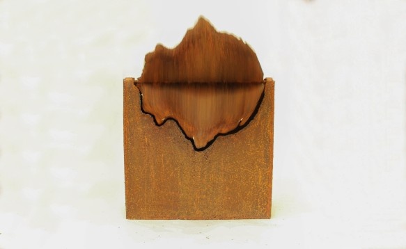 Alexandru Dascălu // Revolta 