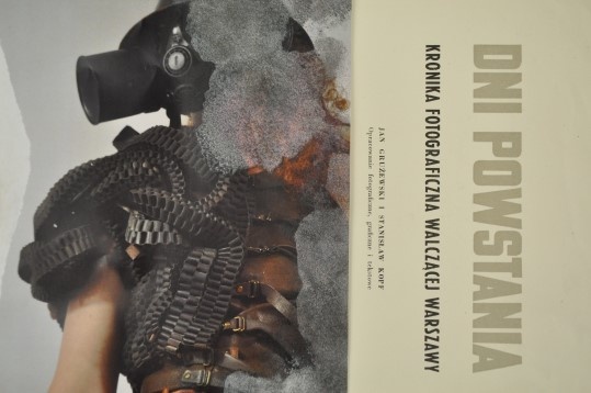 Alexandru Floarea // DNI Powstania 