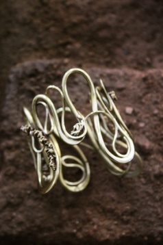 Alice Protopopescu // Morfologie organică