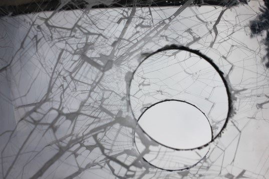 Alina Dobrică // Linia în contexte culturale