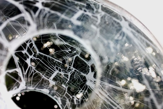 Alina Dobrică // Linia în contexte culturale