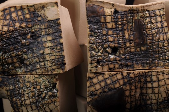 Andreea Badragan // Mecanici afective