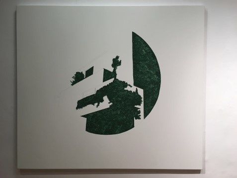 Ariana Hodorcă // Captured landscape 