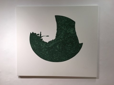 Ariana Hodorcă // Captured landscape 