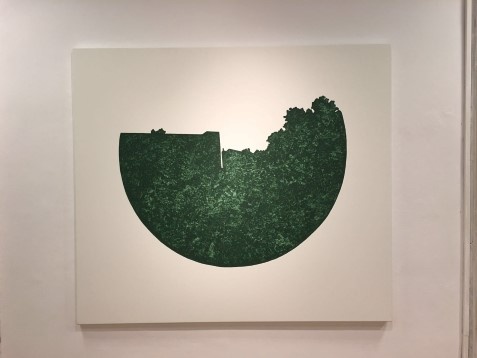 Ariana Hodorcă // Captured landscape 