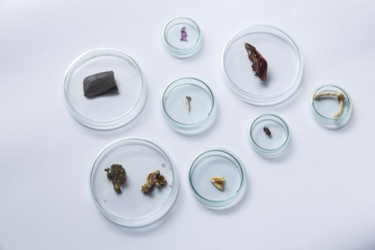 Artemisa Pascu // Degradări termice ireversibile 