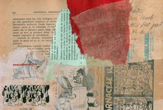 Diana Stroe // Jurnal de disertație