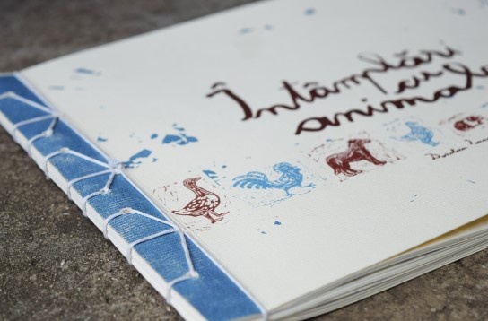 Doroteea Ionașcu Ispas // Întâmplări cu animale 