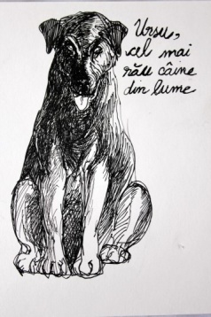 Doroteea Ionașcu Ispas // Întâmplări cu animale 